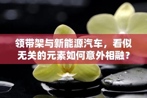 领带架与新能源汽车，看似无关的元素如何意外相融？
