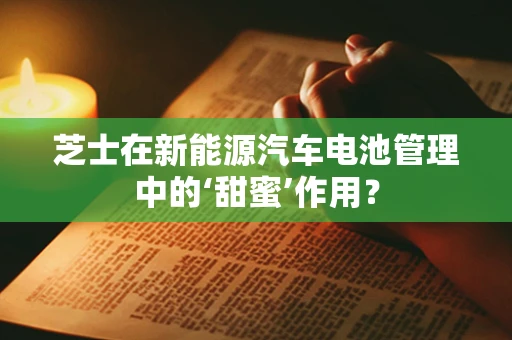 芝士在新能源汽车电池管理中的‘甜蜜’作用？
