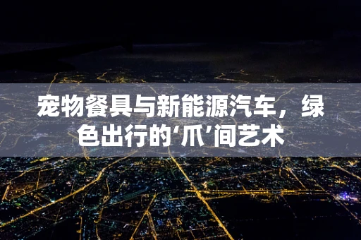 宠物餐具与新能源汽车，绿色出行的‘爪’间艺术