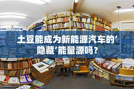 土豆能成为新能源汽车的‘隐藏’能量源吗？
