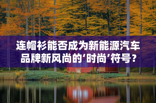 连帽衫能否成为新能源汽车品牌新风尚的‘时尚’符号？