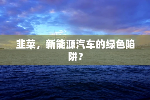 韭菜，新能源汽车的绿色陷阱？
