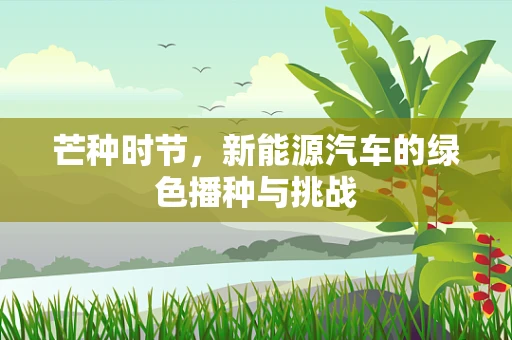 芒种时节，新能源汽车的绿色播种与挑战