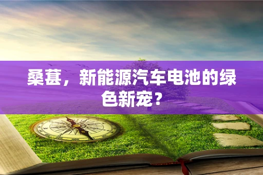 桑葚，新能源汽车电池的绿色新宠？