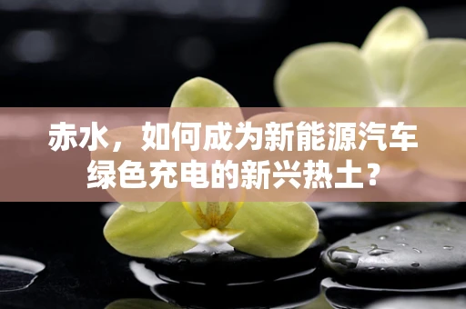 赤水，如何成为新能源汽车绿色充电的新兴热土？