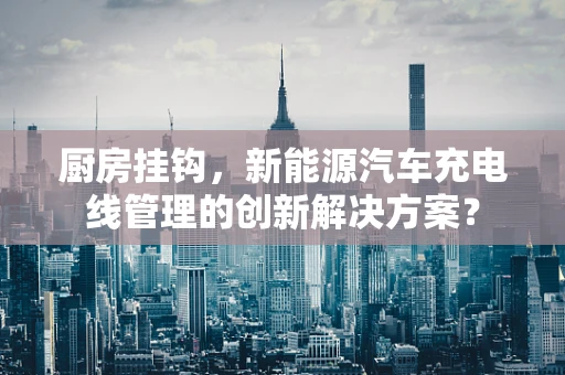 厨房挂钩，新能源汽车充电线管理的创新解决方案？