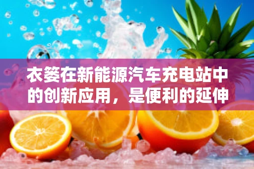 衣篓在新能源汽车充电站中的创新应用，是便利的延伸，还是多余的装饰？