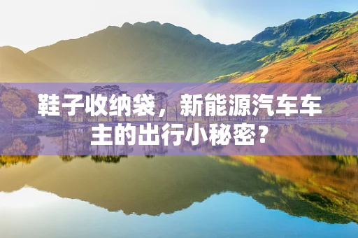 鞋子收纳袋，新能源汽车车主的出行小秘密？