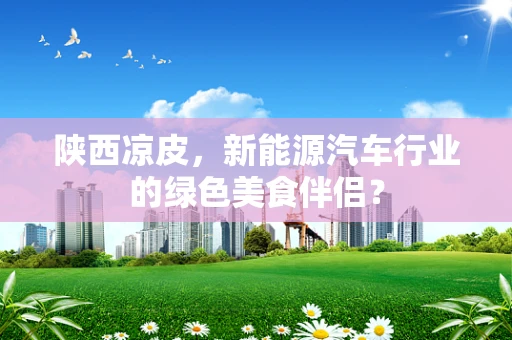 陕西凉皮，新能源汽车行业的绿色美食伴侣？