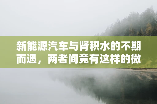 新能源汽车与肾积水的不期而遇，两者间竟有这样的微妙联系？