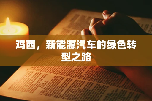 鸡西，新能源汽车的绿色转型之路