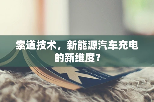 索道技术，新能源汽车充电的新维度？