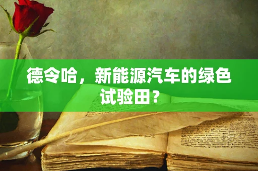 德令哈，新能源汽车的绿色试验田？