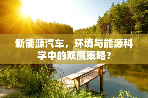 新能源汽车，环境与能源科学中的双赢策略？