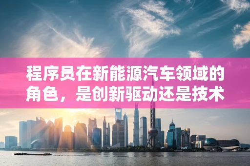 程序员在新能源汽车领域的角色，是创新驱动还是技术瓶颈？