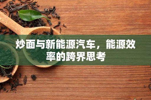 炒面与新能源汽车，能源效率的跨界思考