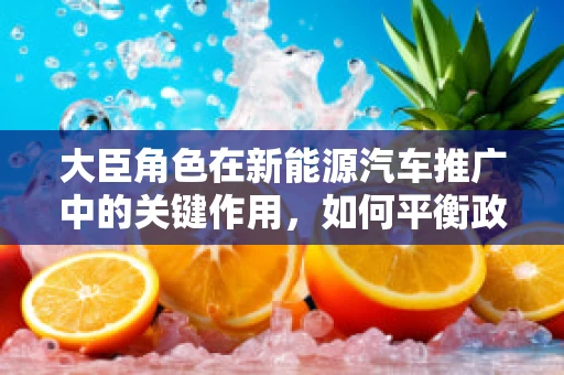 大臣角色在新能源汽车推广中的关键作用，如何平衡政策制定与市场反馈？