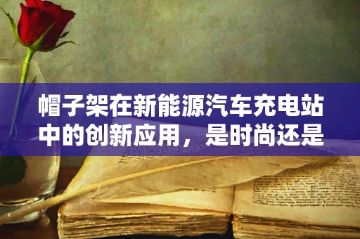 帽子架在新能源汽车充电站中的创新应用，是时尚还是实用？