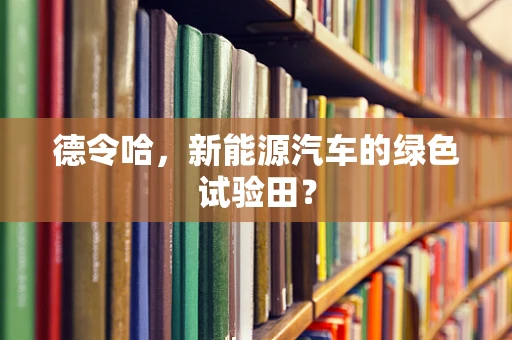 德令哈，新能源汽车的绿色试验田？