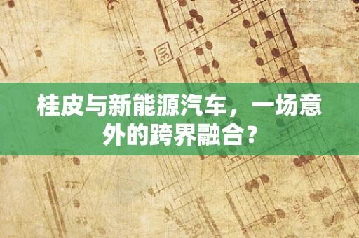 桂皮与新能源汽车，一场意外的跨界融合？
