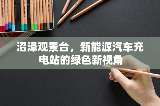 沼泽观景台，新能源汽车充电站的绿色新视角