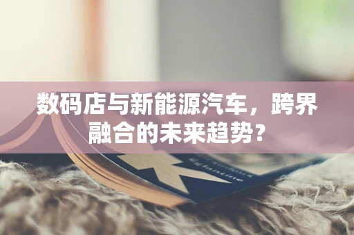 数码店与新能源汽车，跨界融合的未来趋势？
