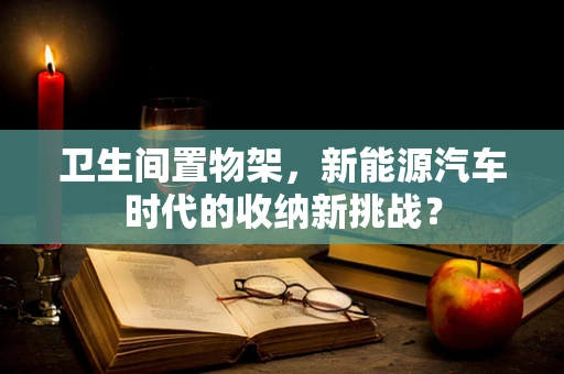 卫生间置物架，新能源汽车时代的收纳新挑战？