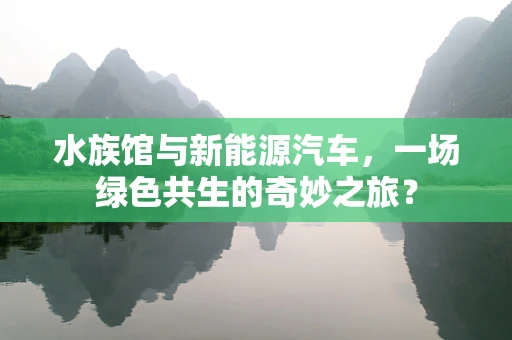 水族馆与新能源汽车，一场绿色共生的奇妙之旅？