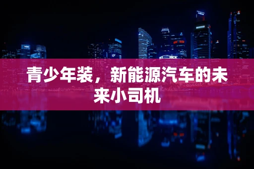 青少年装，新能源汽车的未来小司机