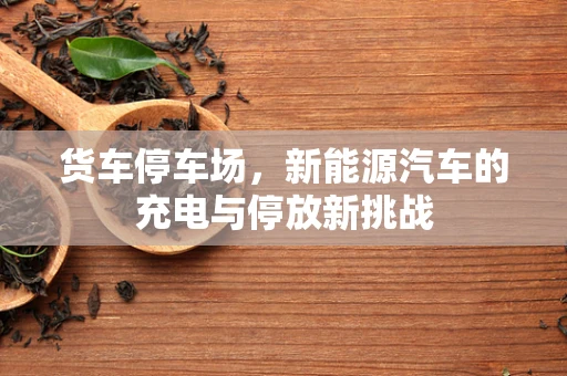 货车停车场，新能源汽车的充电与停放新挑战
