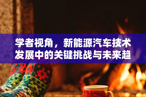 学者视角，新能源汽车技术发展中的关键挑战与未来趋势？