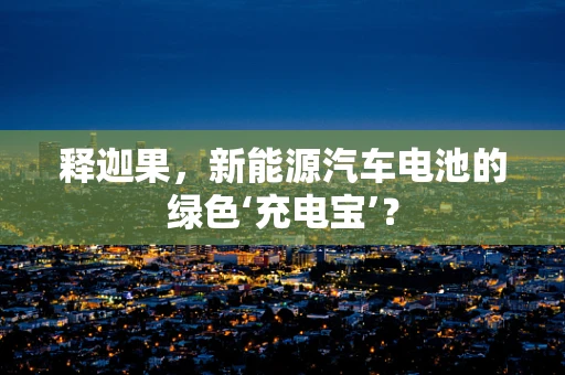释迦果，新能源汽车电池的绿色‘充电宝’？