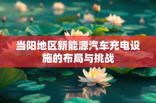 当阳地区新能源汽车充电设施的布局与挑战