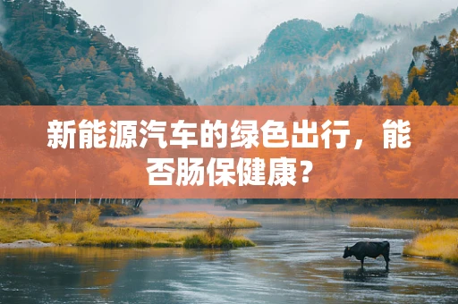 新能源汽车的绿色出行，能否肠保健康？