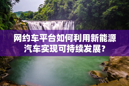 网约车平台如何利用新能源汽车实现可持续发展？