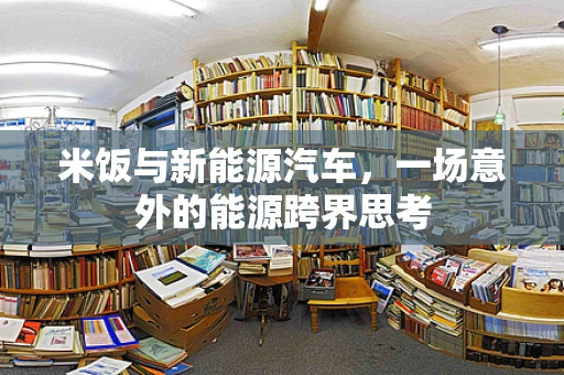 米饭与新能源汽车，一场意外的能源跨界思考