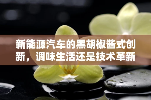 新能源汽车的黑胡椒酱式创新，调味生活还是技术革新？