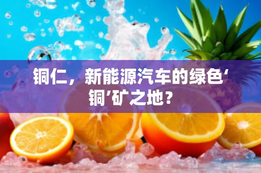 铜仁，新能源汽车的绿色‘铜’矿之地？