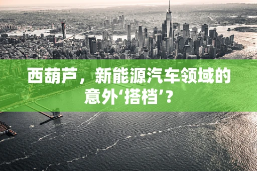 西葫芦，新能源汽车领域的意外‘搭档’？
