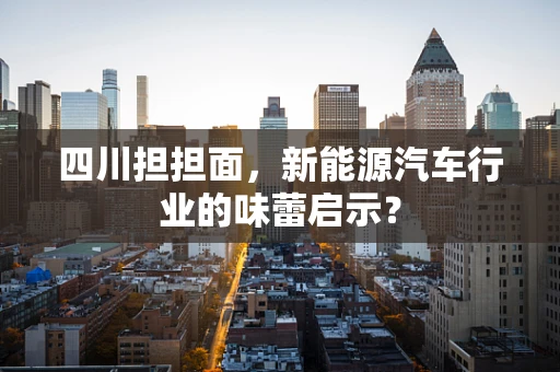 四川担担面，新能源汽车行业的味蕾启示？