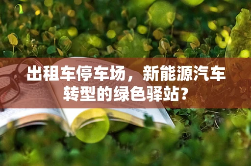 出租车停车场，新能源汽车转型的绿色驿站？