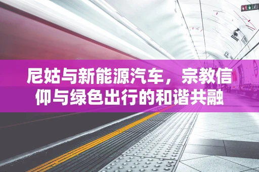 尼姑与新能源汽车，宗教信仰与绿色出行的和谐共融