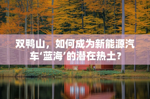 双鸭山，如何成为新能源汽车‘蓝海’的潜在热土？