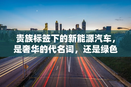 贵族标签下的新能源汽车，是奢华的代名词，还是绿色出行的误解？