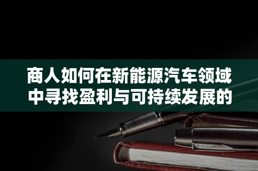 商人如何在新能源汽车领域中寻找盈利与可持续发展的平衡？