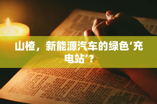 山楂，新能源汽车的绿色‘充电站’？