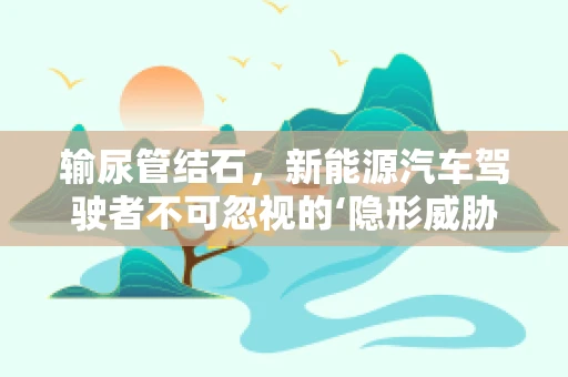 输尿管结石，新能源汽车驾驶者不可忽视的‘隐形威胁’