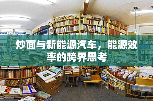 炒面与新能源汽车，能源效率的跨界思考