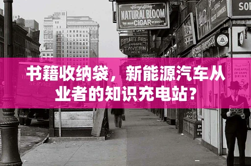 书籍收纳袋，新能源汽车从业者的知识充电站？