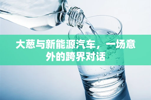 大葱与新能源汽车，一场意外的跨界对话
